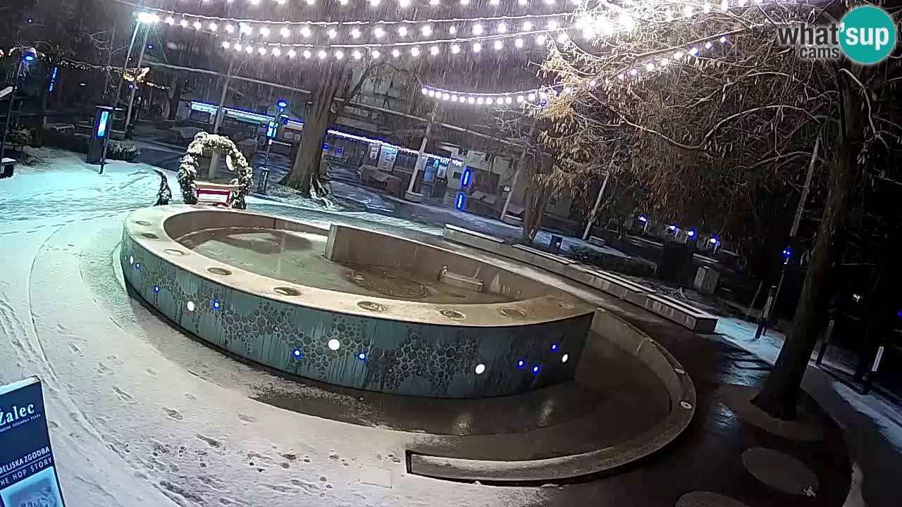 Fontaine à bière LIVE webcam – Or vert – Žalec