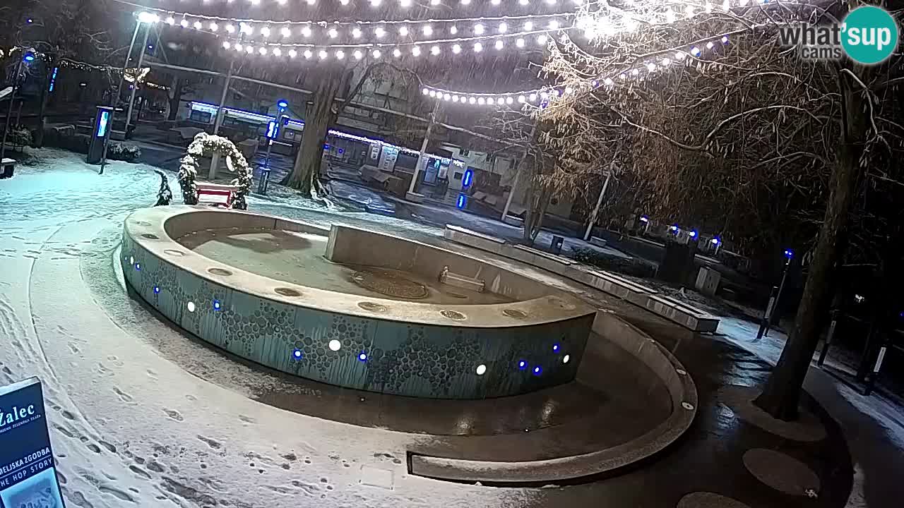 Fontaine à bière LIVE webcam – Or vert – Žalec