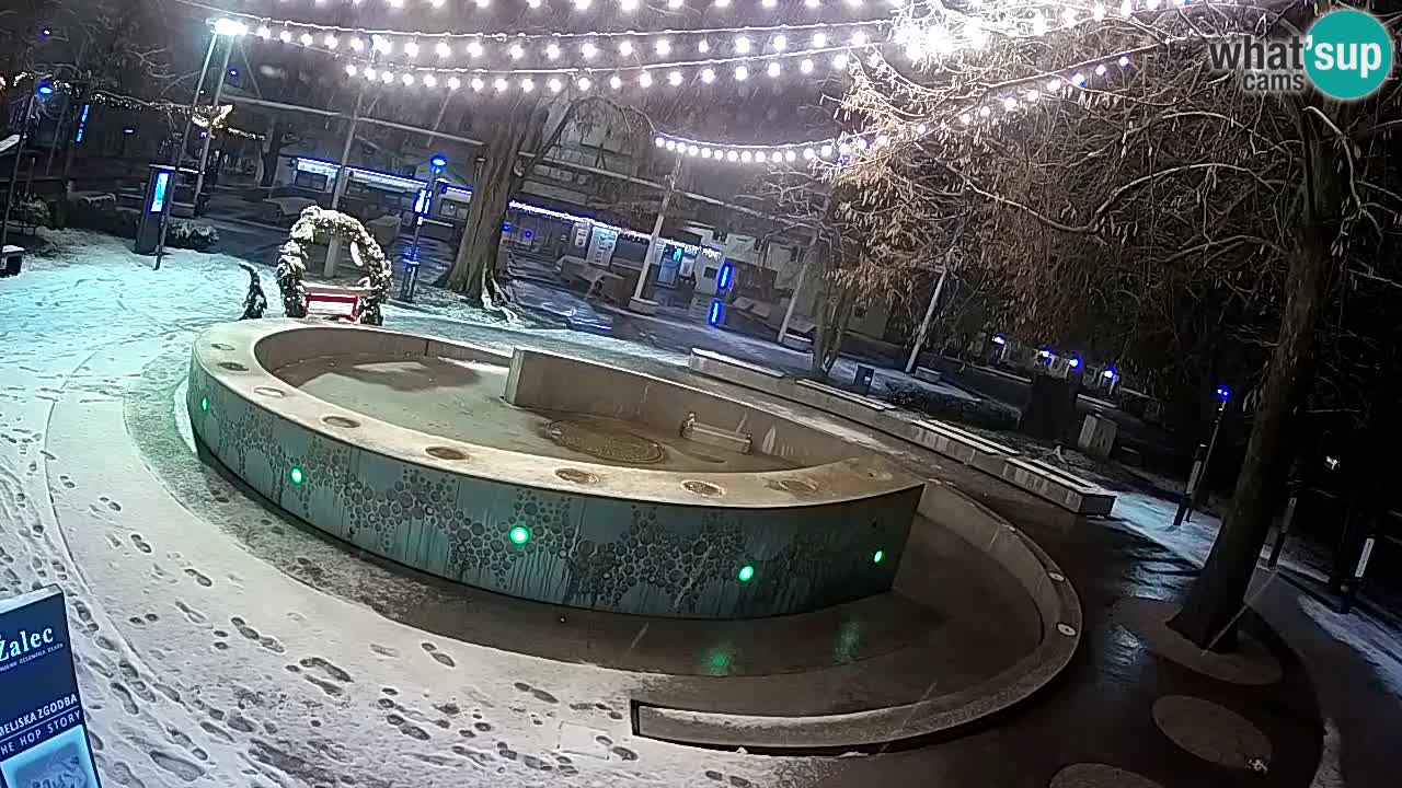 Web kamera Fontana piva – Zeleno zlato – Žalec