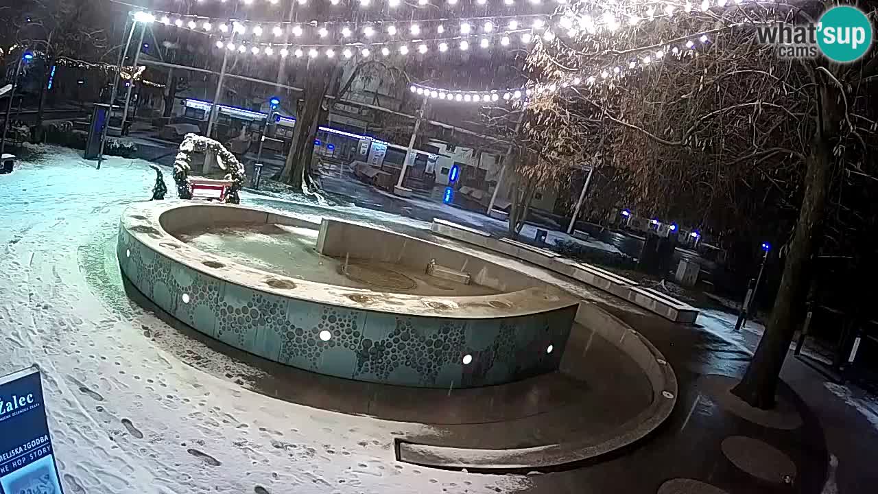 Fontaine à bière LIVE webcam – Or vert – Žalec