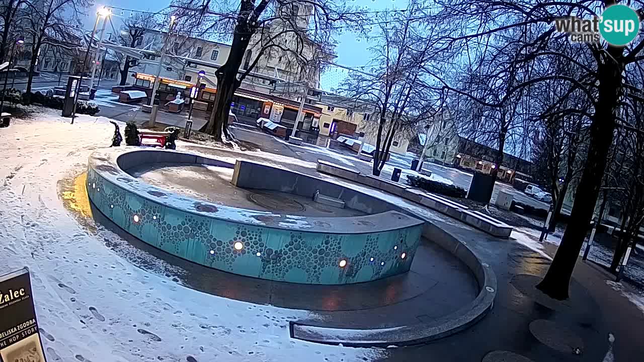 Fontaine à bière LIVE webcam – Or vert – Žalec