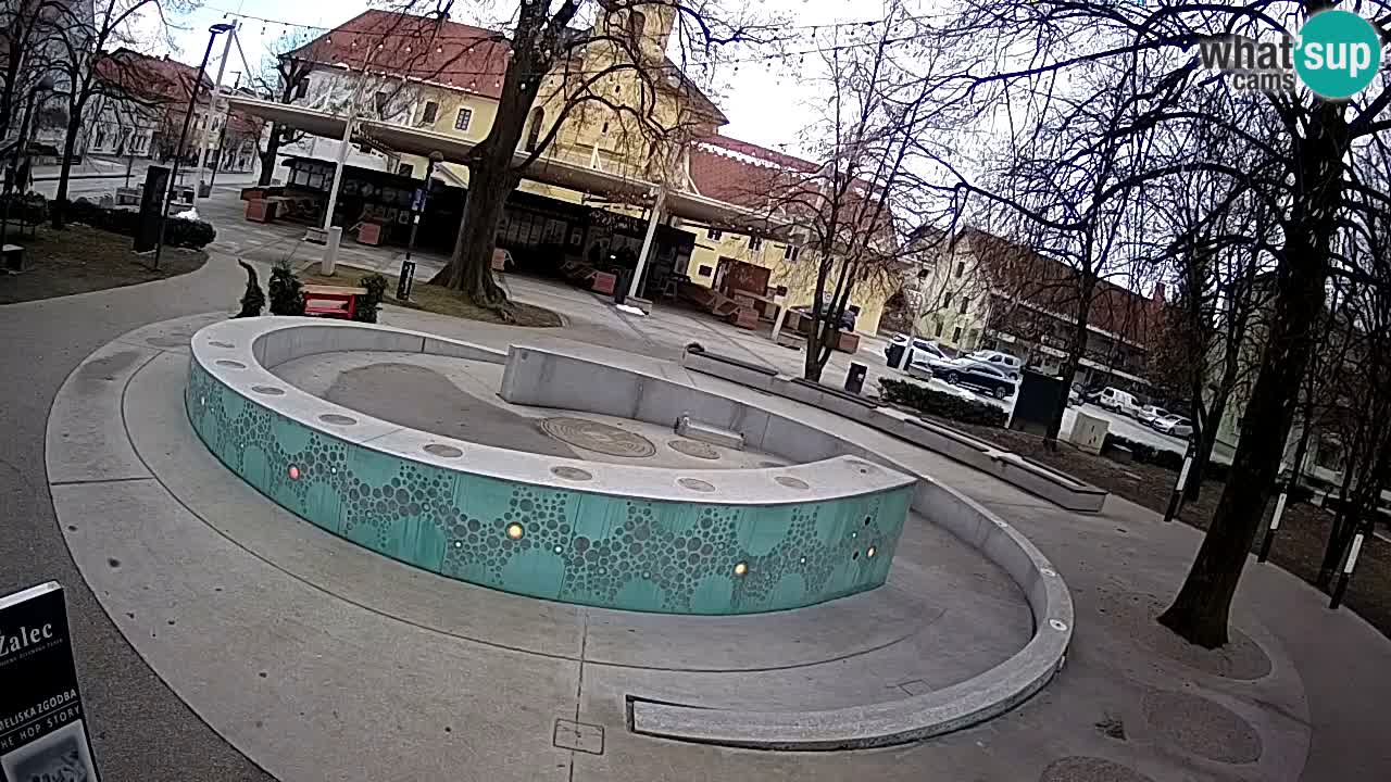 Web kamera Fontana piva – Zeleno zlato – Žalec