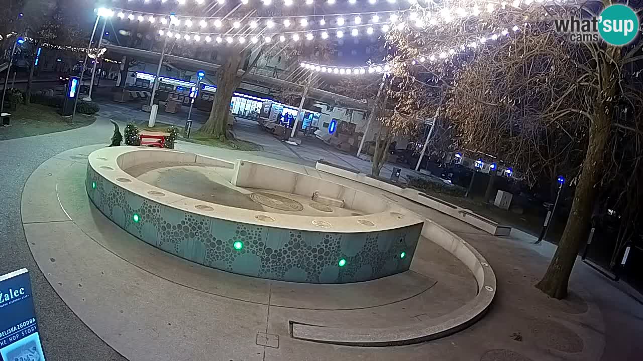 Web kamera Fontana piva – Zeleno zlato – Žalec