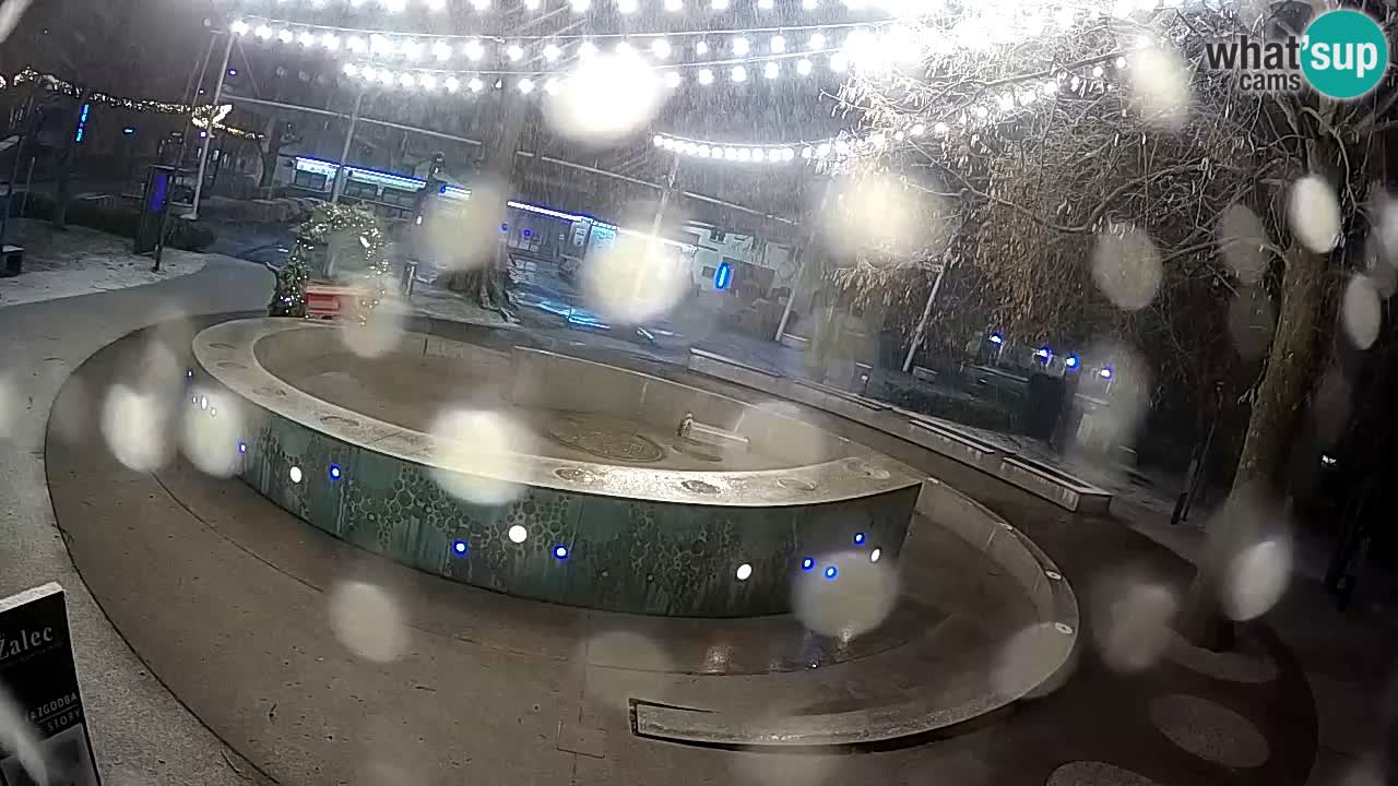 Fontaine à bière LIVE webcam – Or vert – Žalec