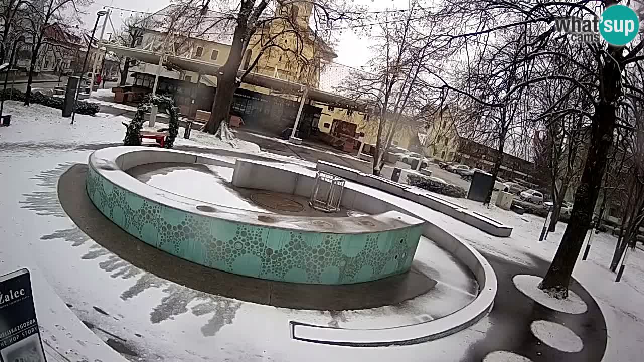 Fontana di birra Webcam – Oro verde – Žalec