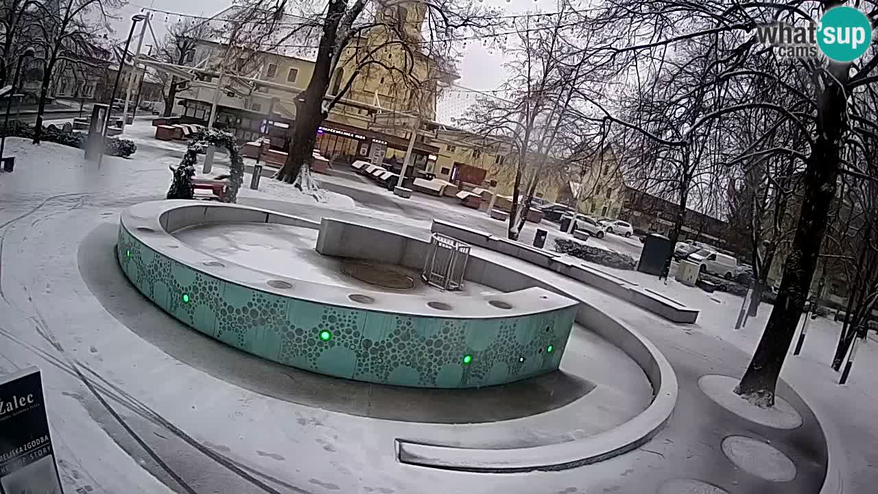 Fontaine à bière LIVE webcam – Or vert – Žalec