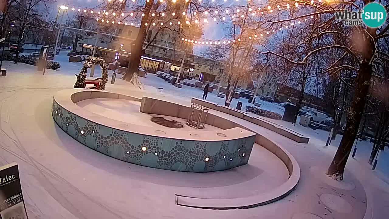 Fontaine à bière LIVE webcam – Or vert – Žalec