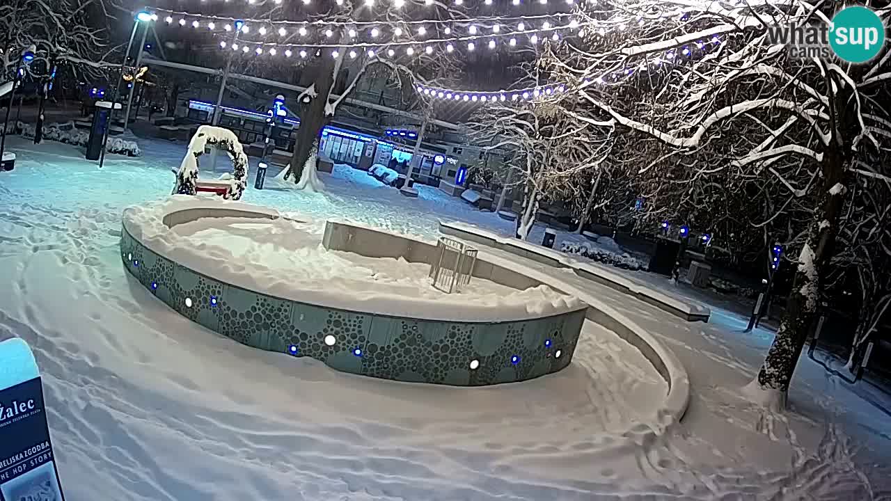 Fontana di birra Webcam – Oro verde – Žalec