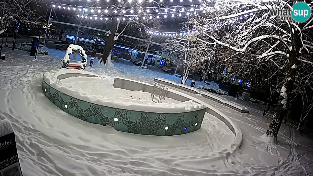 Spletna kamera Fontana Piv – Zeleno zlato Žalec