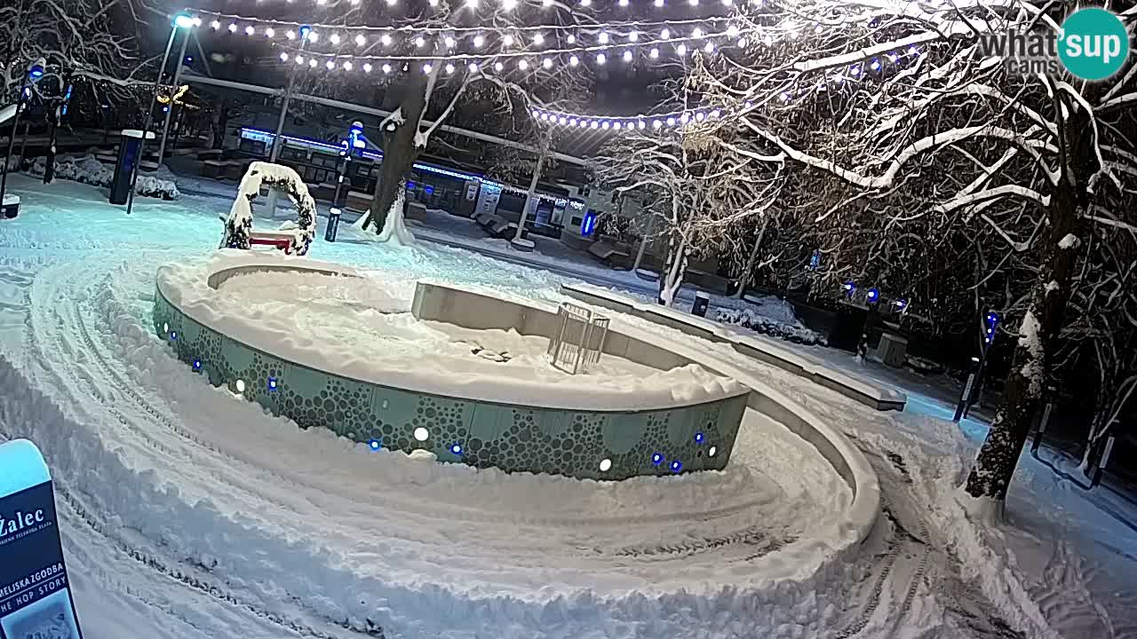 Fontana di birra Webcam – Oro verde – Žalec