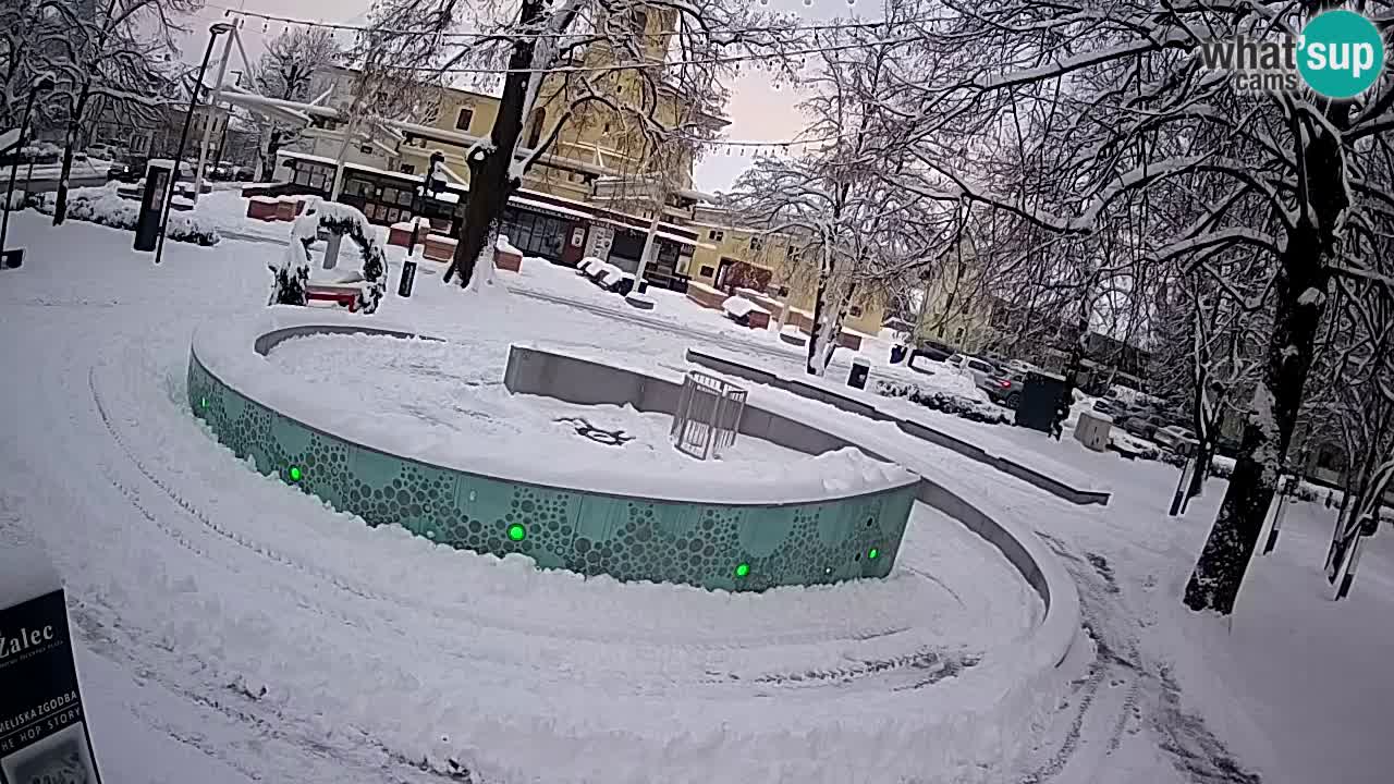 Fontaine à bière LIVE webcam – Or vert – Žalec