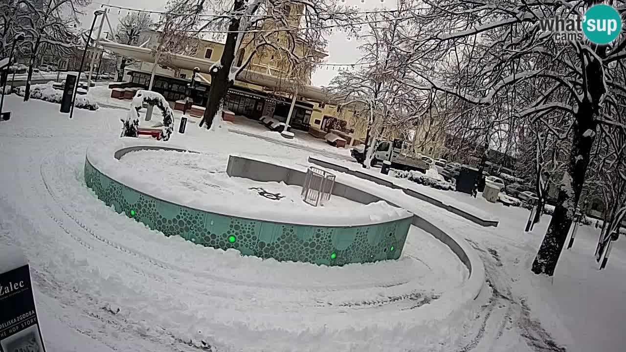 Fontaine à bière LIVE webcam – Or vert – Žalec