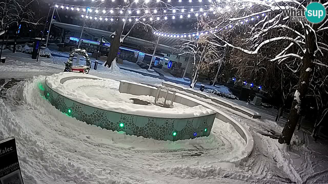 Fontana di birra Webcam – Oro verde – Žalec