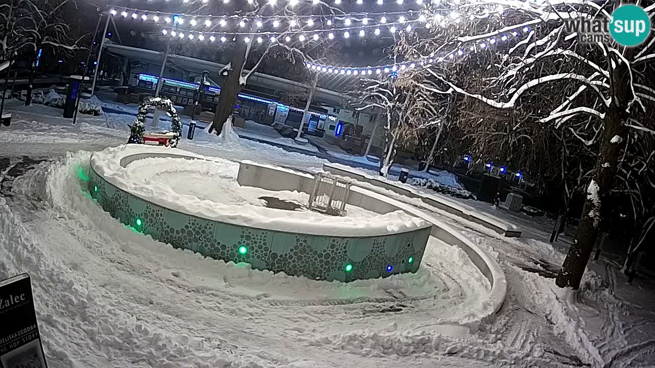 Fontana di birra Webcam – Oro verde – Žalec