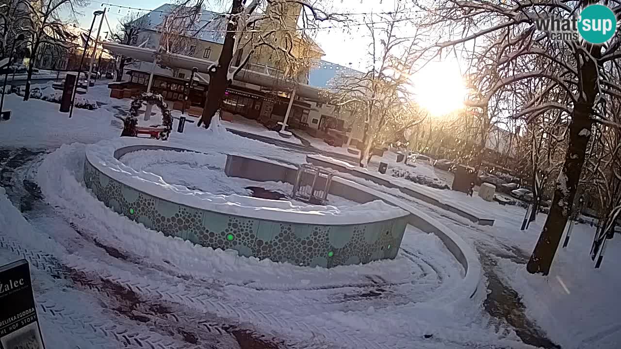 Fontana di birra Webcam – Oro verde – Žalec