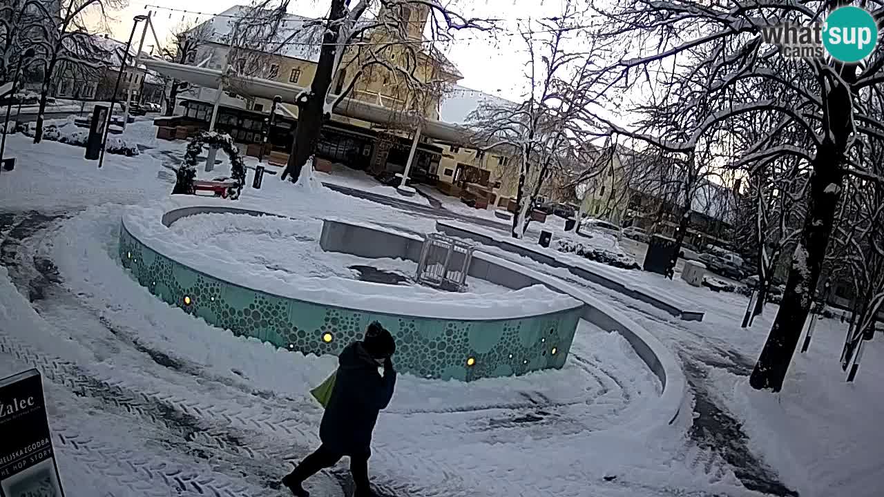 Spletna kamera Fontana Piv – Zeleno zlato Žalec