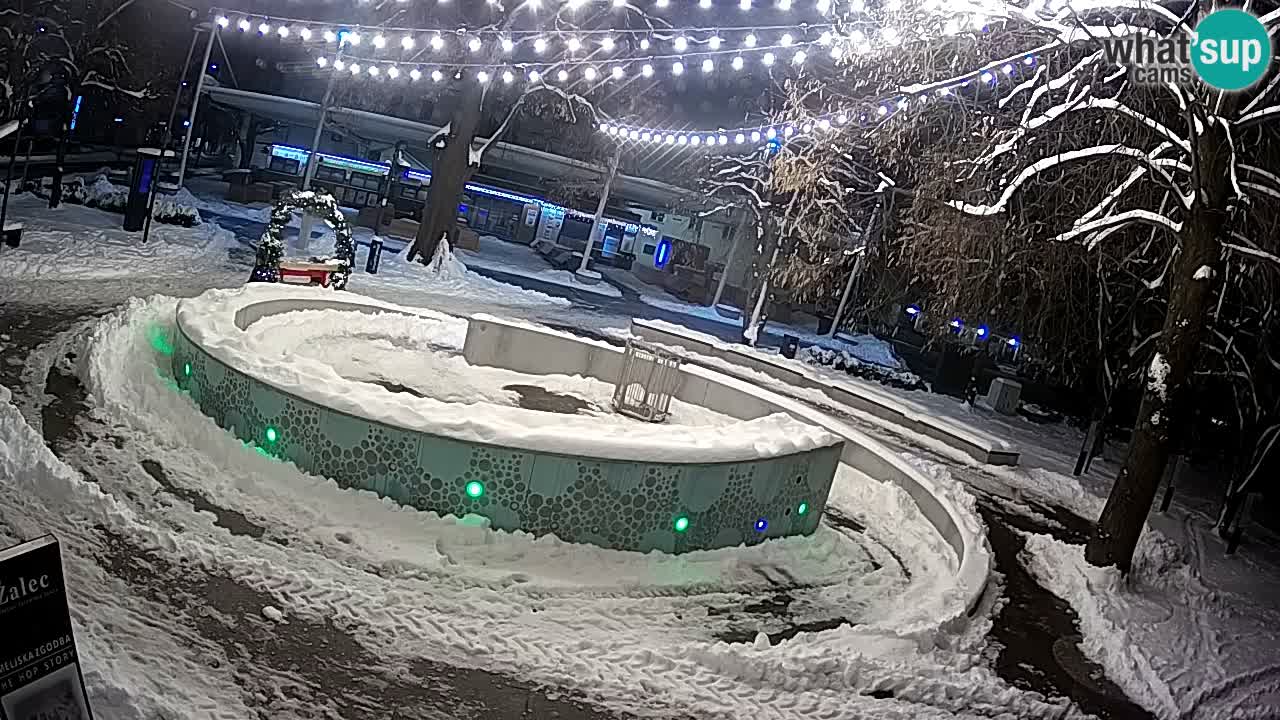 Fontaine à bière LIVE webcam – Or vert – Žalec