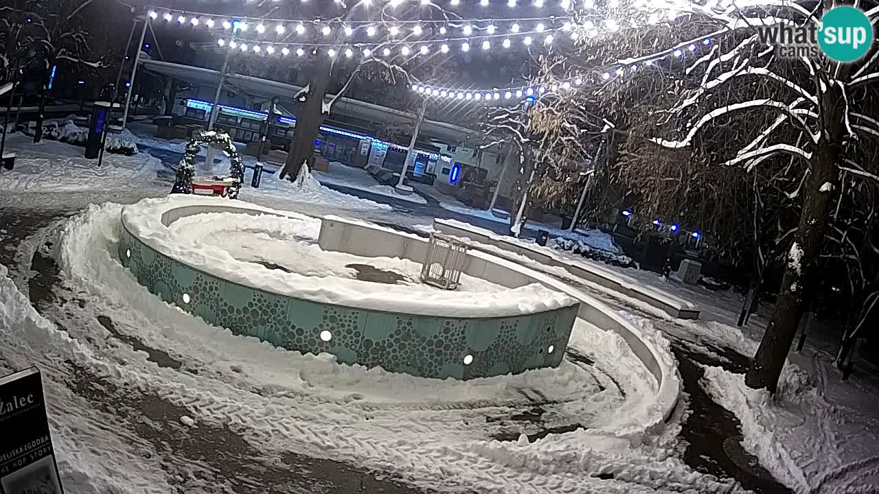 Fontana di birra Webcam – Oro verde – Žalec