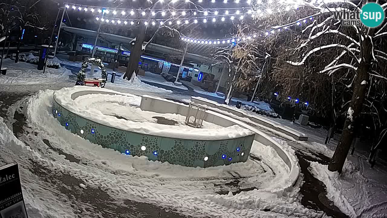 Fontana di birra Webcam – Oro verde – Žalec