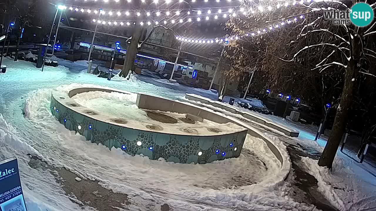 Fontaine à bière LIVE webcam – Or vert – Žalec