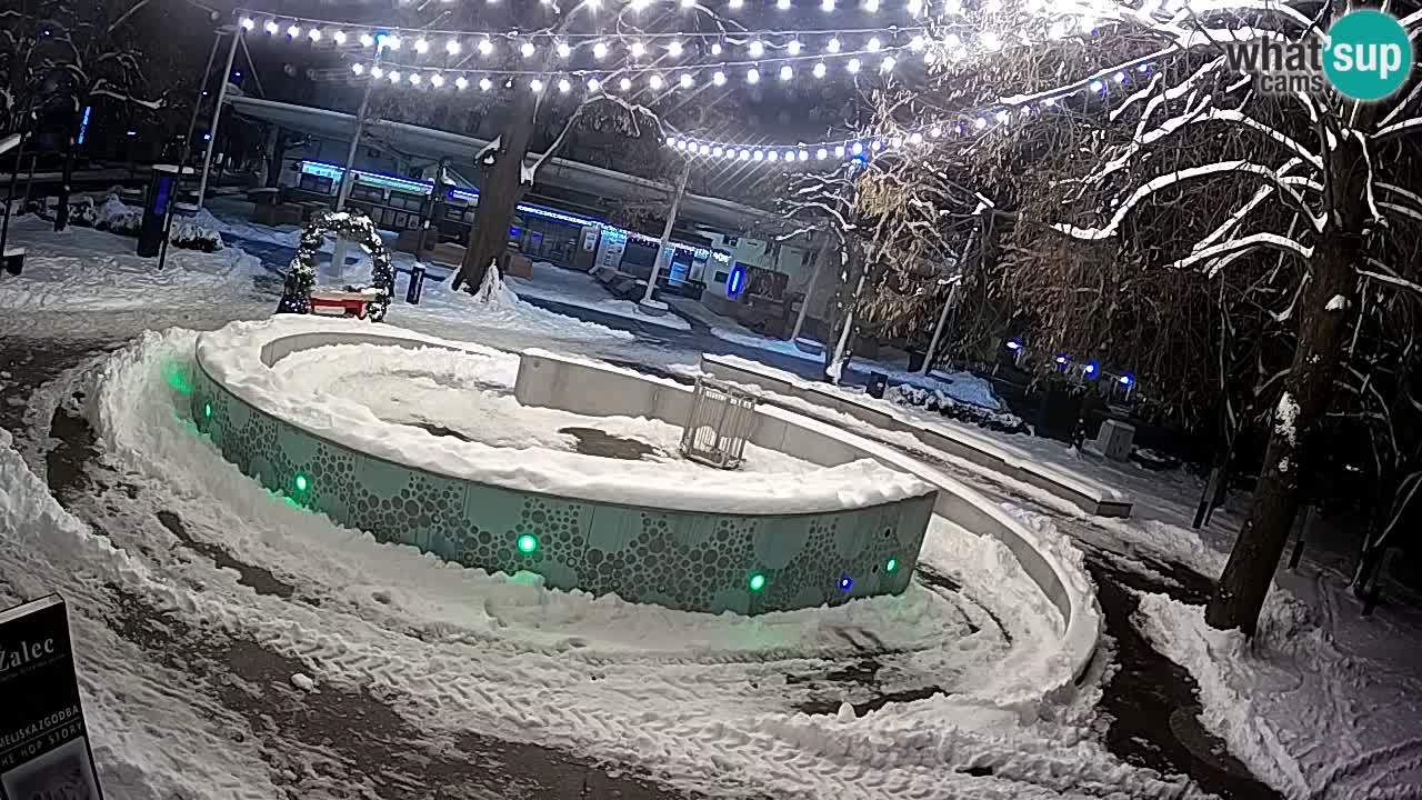 Camera en vivo Fuente de cerveza – Oro verde – Žalec