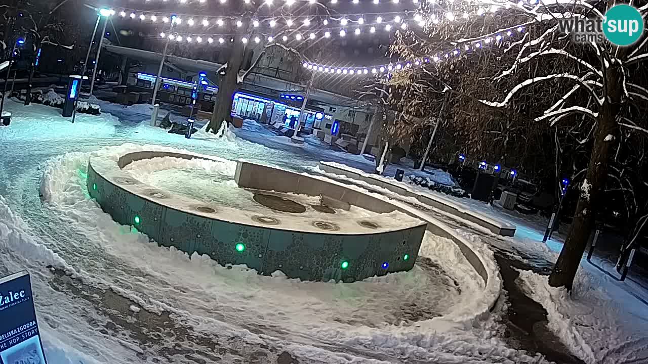 Camera en vivo Fuente de cerveza – Oro verde – Žalec