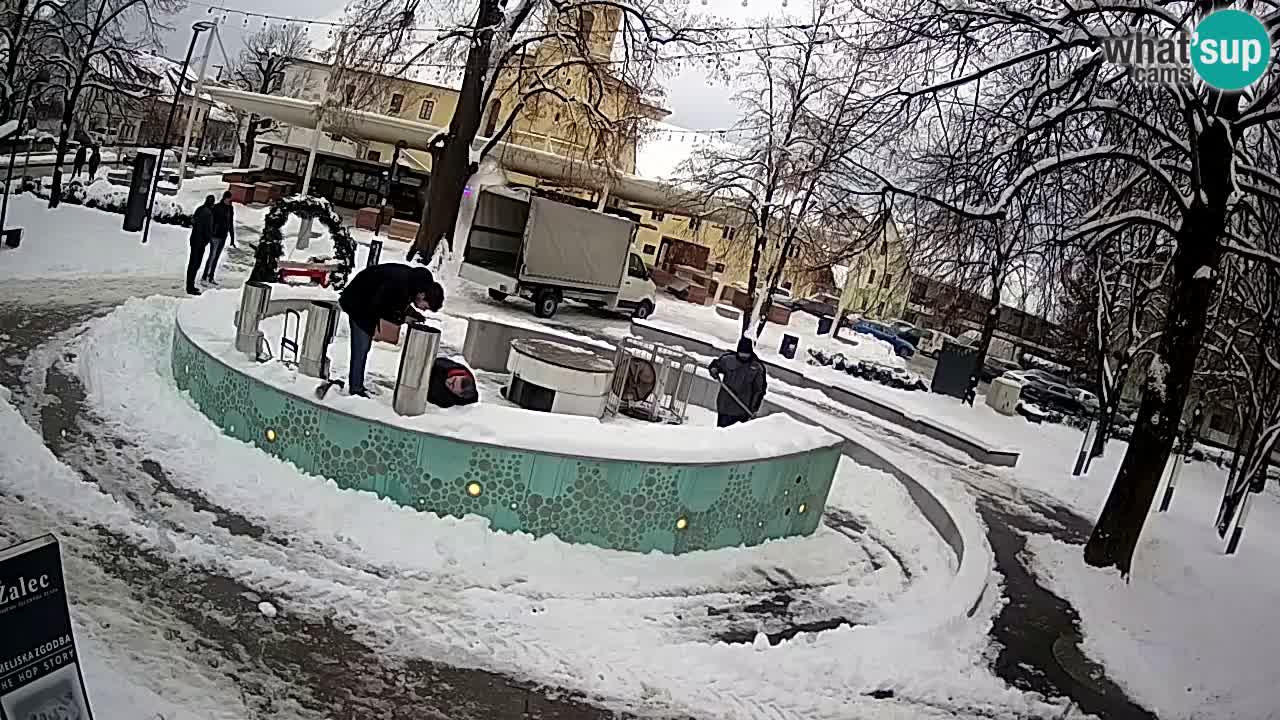 Spletna kamera Fontana Piv – Zeleno zlato Žalec