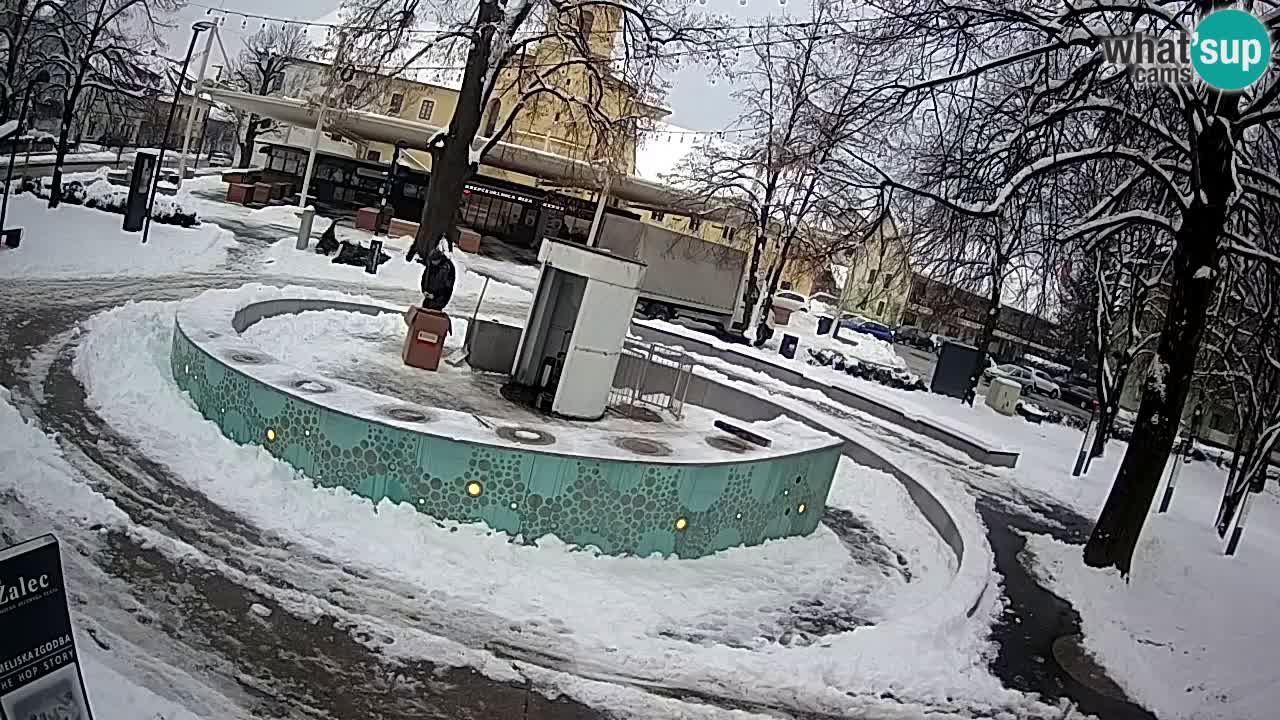 Web kamera Fontana piva – Zeleno zlato – Žalec