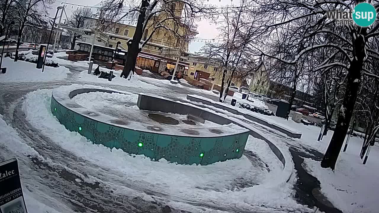 Web kamera Fontana piva – Zeleno zlato – Žalec