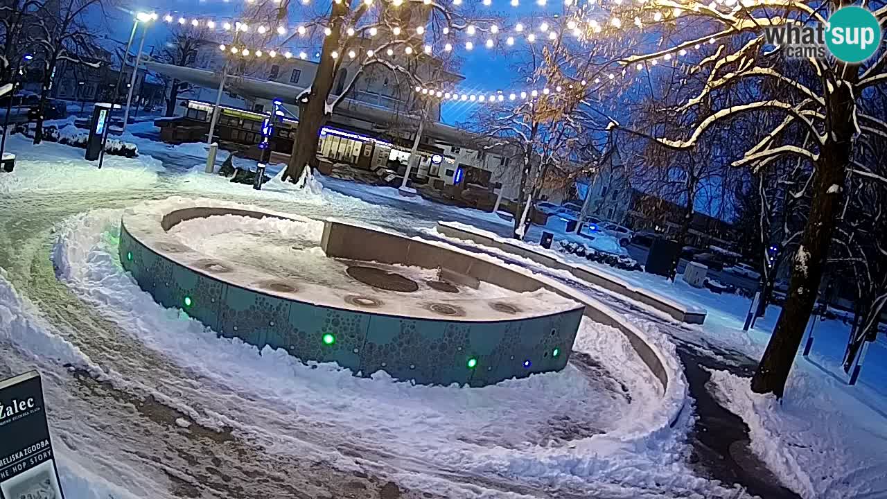 Fontana di birra Webcam – Oro verde – Žalec