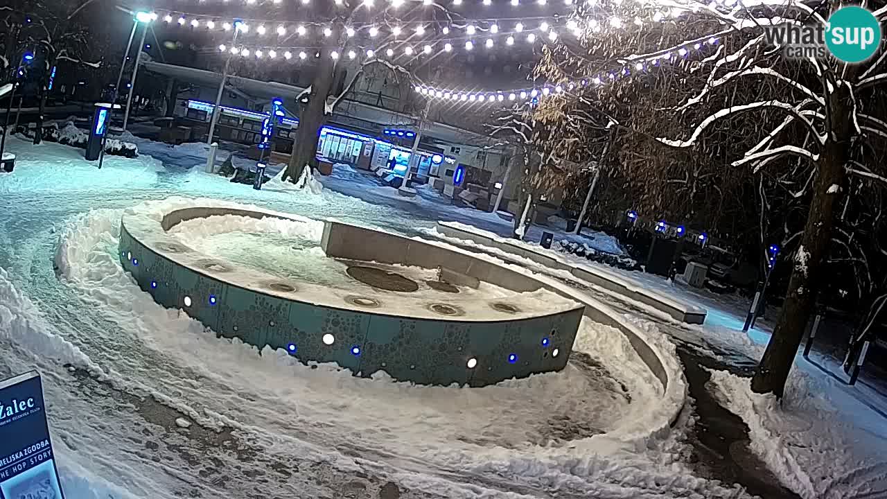 Bier-Springbrunnen Webcam Žalec – Grünen Goldes