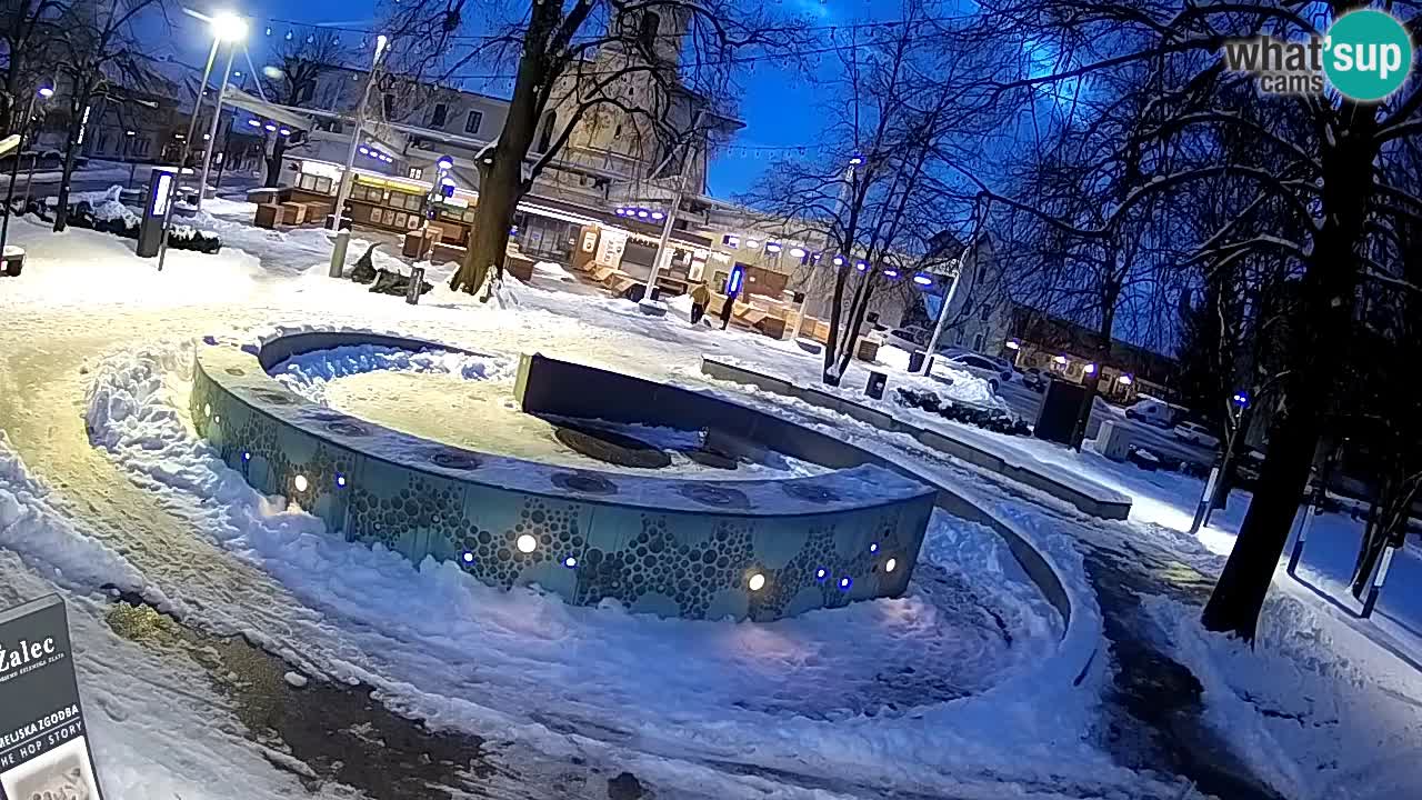 Web kamera Fontana piva – Zeleno zlato – Žalec