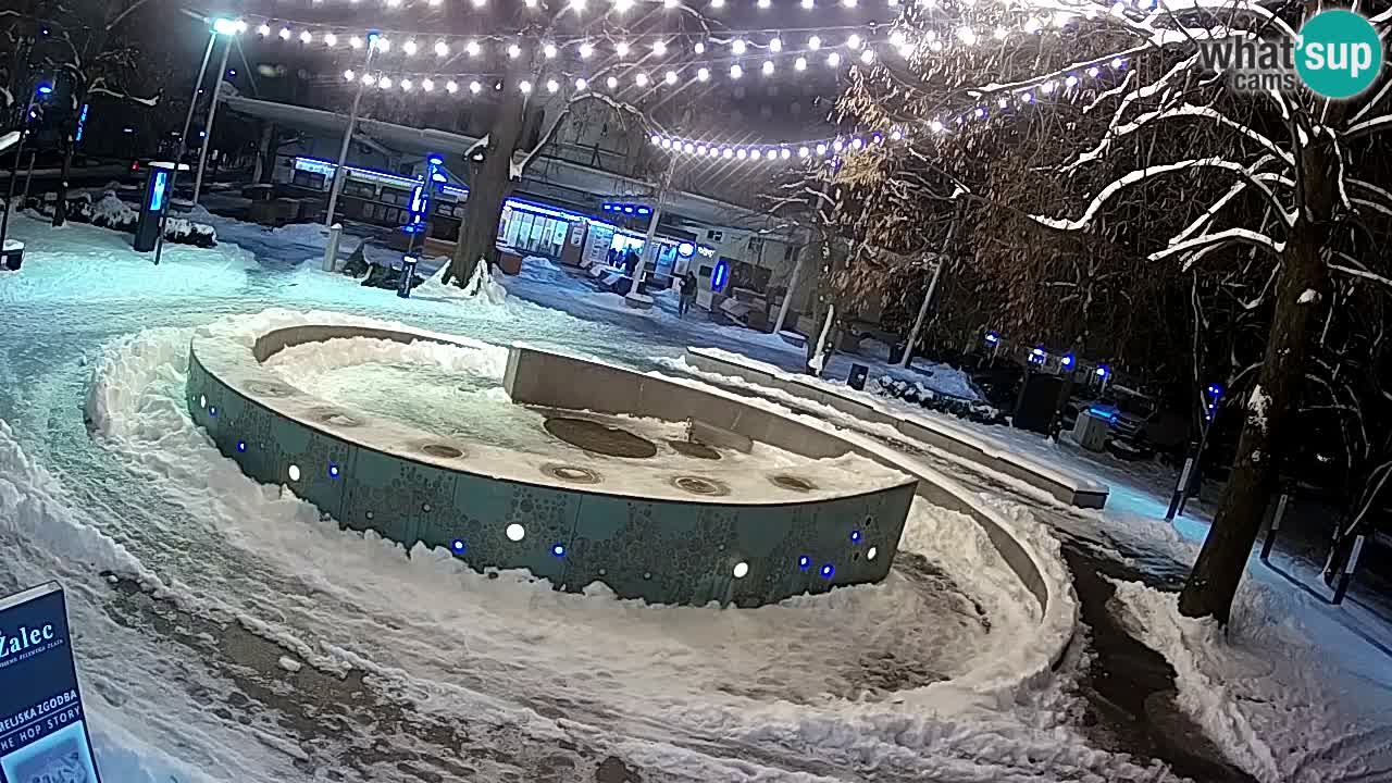 Fontaine à bière LIVE webcam – Or vert – Žalec
