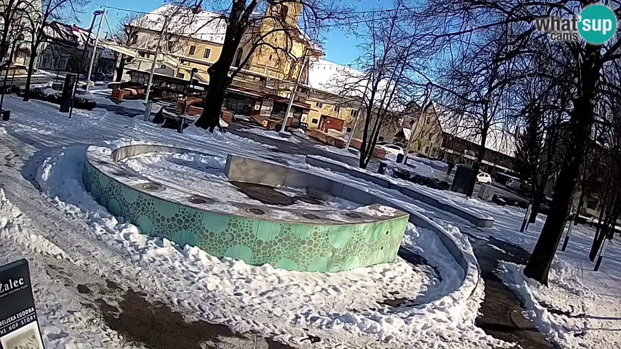 Web kamera Fontana piva – Zeleno zlato – Žalec