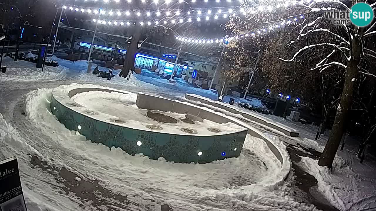 Spletna kamera Fontana Piv – Zeleno zlato Žalec