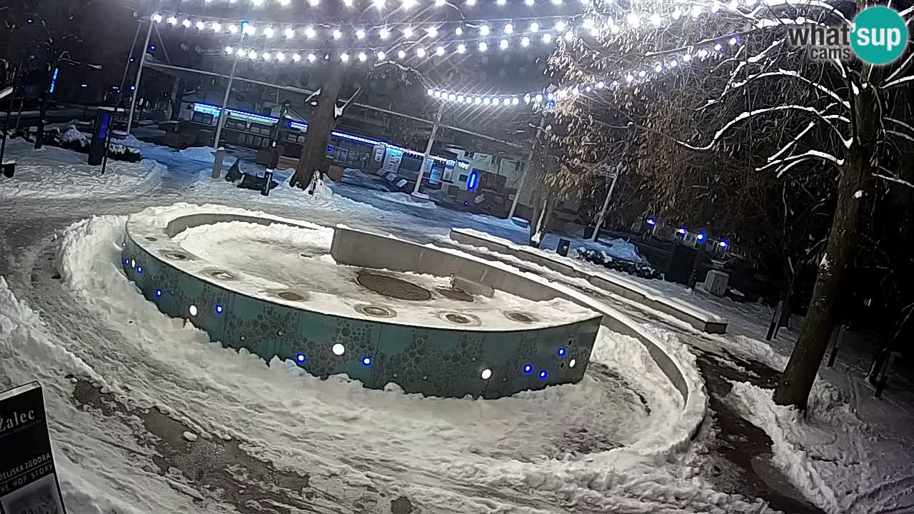 Camera en vivo Fuente de cerveza – Oro verde – Žalec