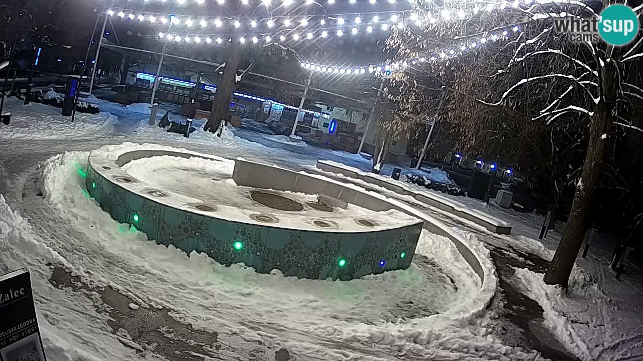 Web kamera Fontana piva – Zeleno zlato – Žalec