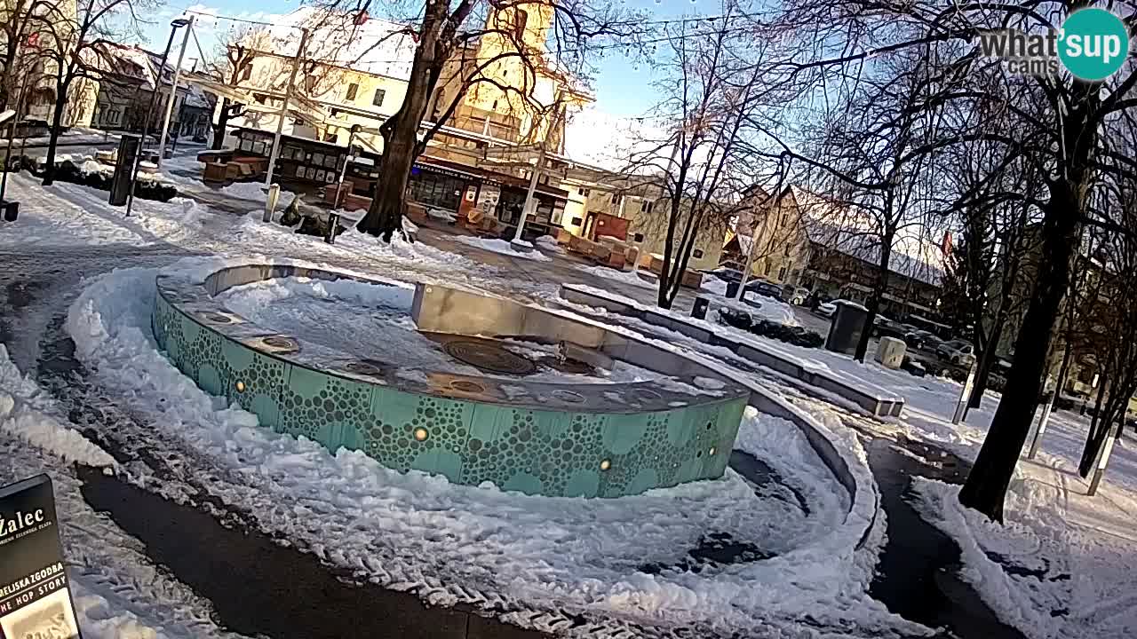 Spletna kamera Fontana Piv – Zeleno zlato Žalec