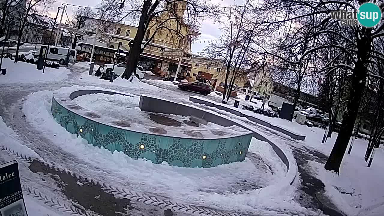 Web kamera Fontana piva – Zeleno zlato – Žalec