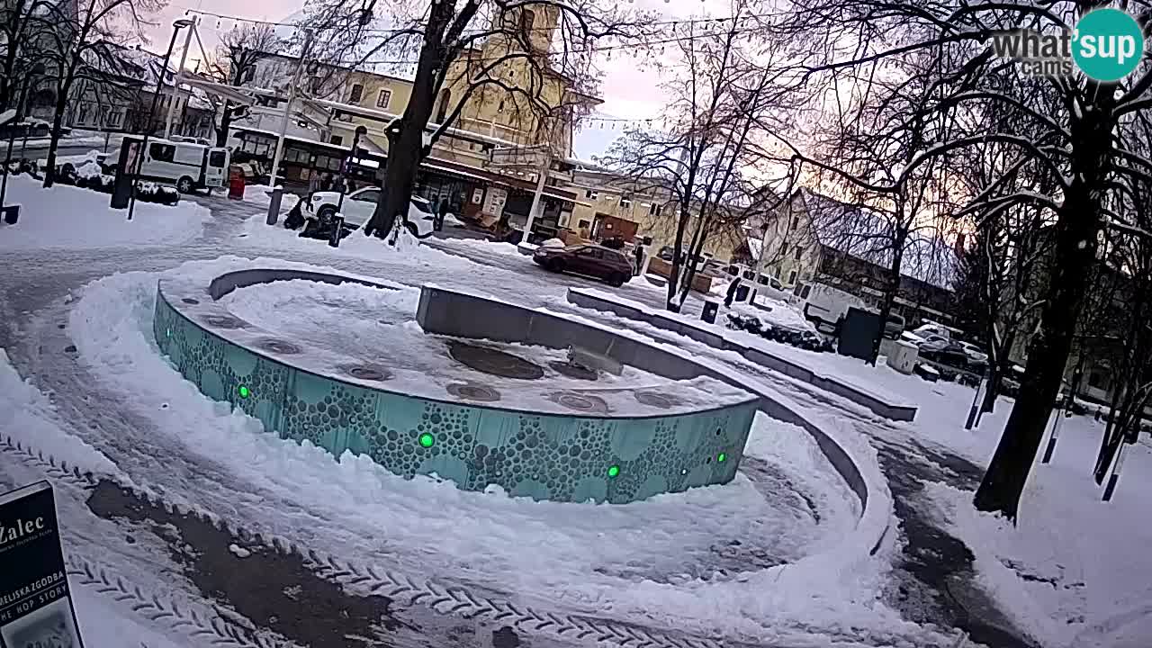 Camera en vivo Fuente de cerveza – Oro verde – Žalec