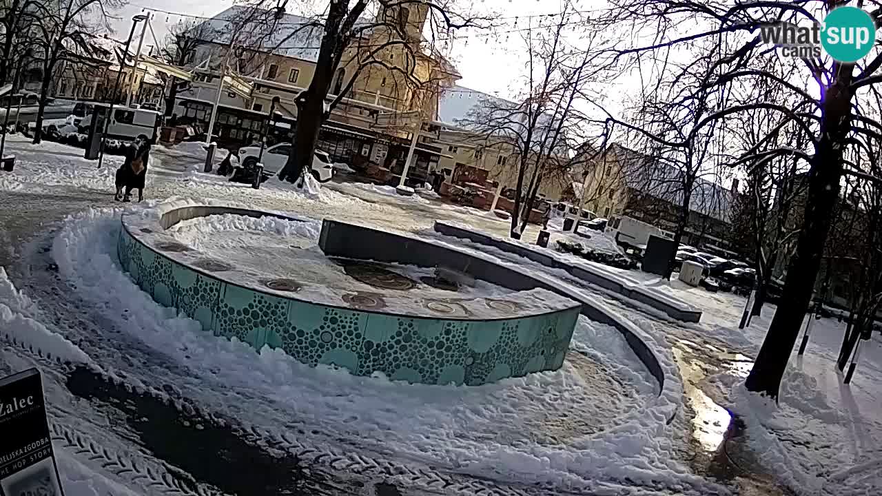 Web kamera Fontana piva – Zeleno zlato – Žalec