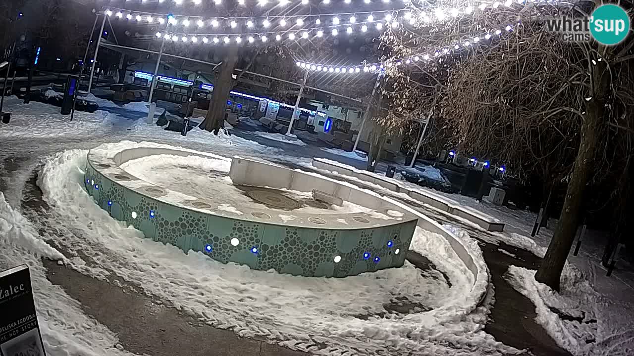 Web kamera Fontana piva – Zeleno zlato – Žalec