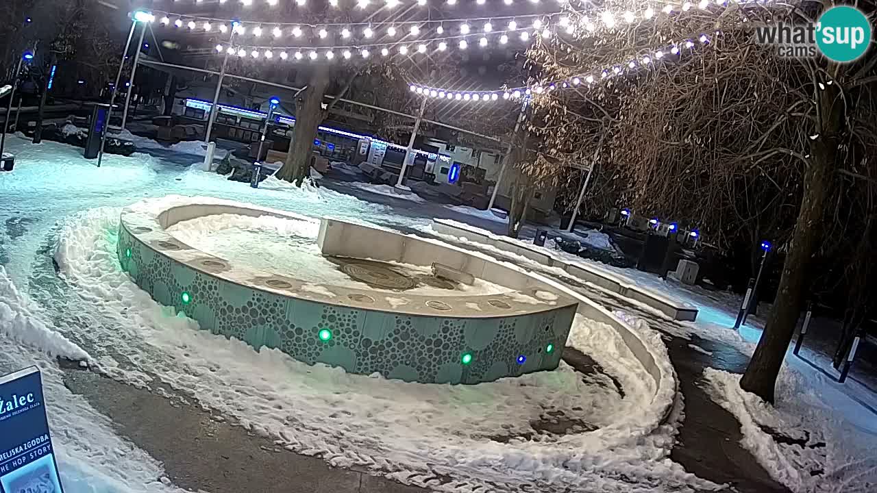 Fontana di birra Webcam – Oro verde – Žalec