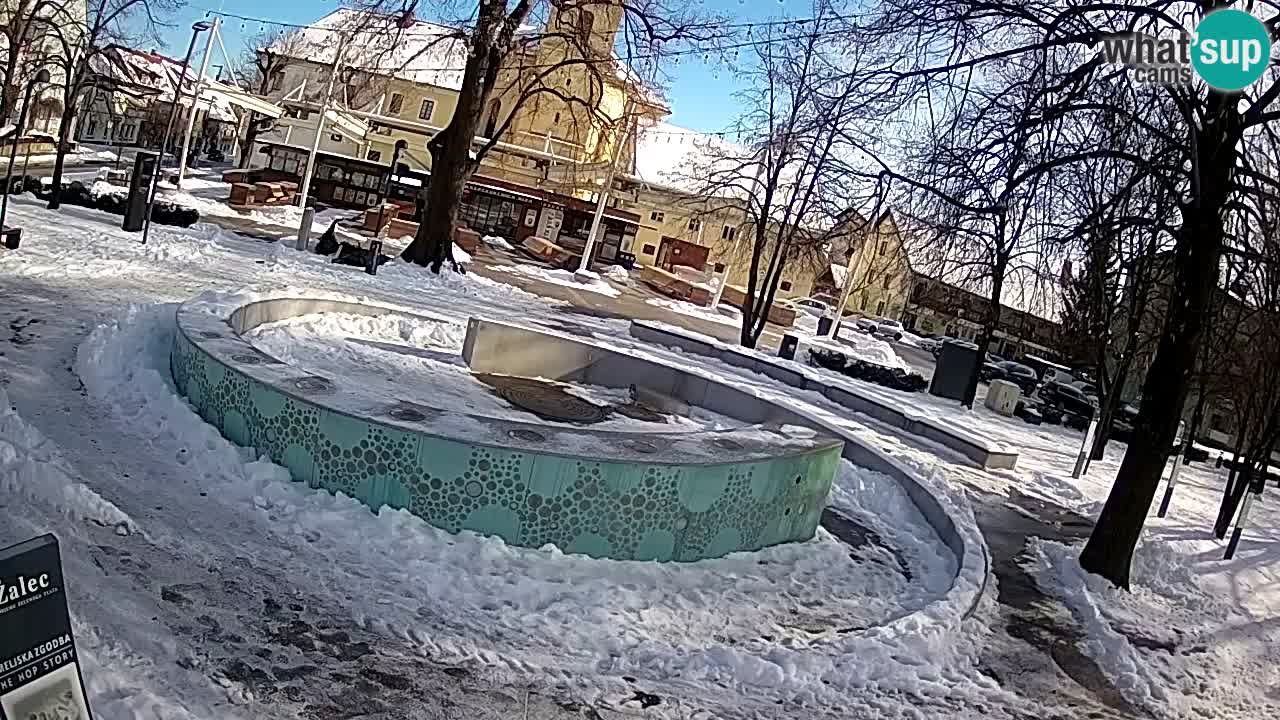 Fontana di birra Webcam – Oro verde – Žalec