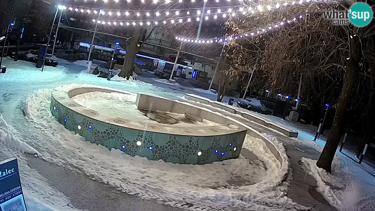 Spletna kamera Fontana Piv – Zeleno zlato Žalec