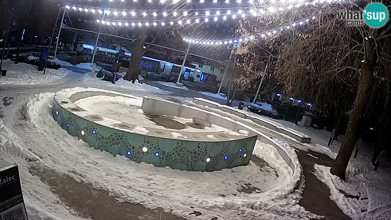 Camera en vivo Fuente de cerveza – Oro verde – Žalec