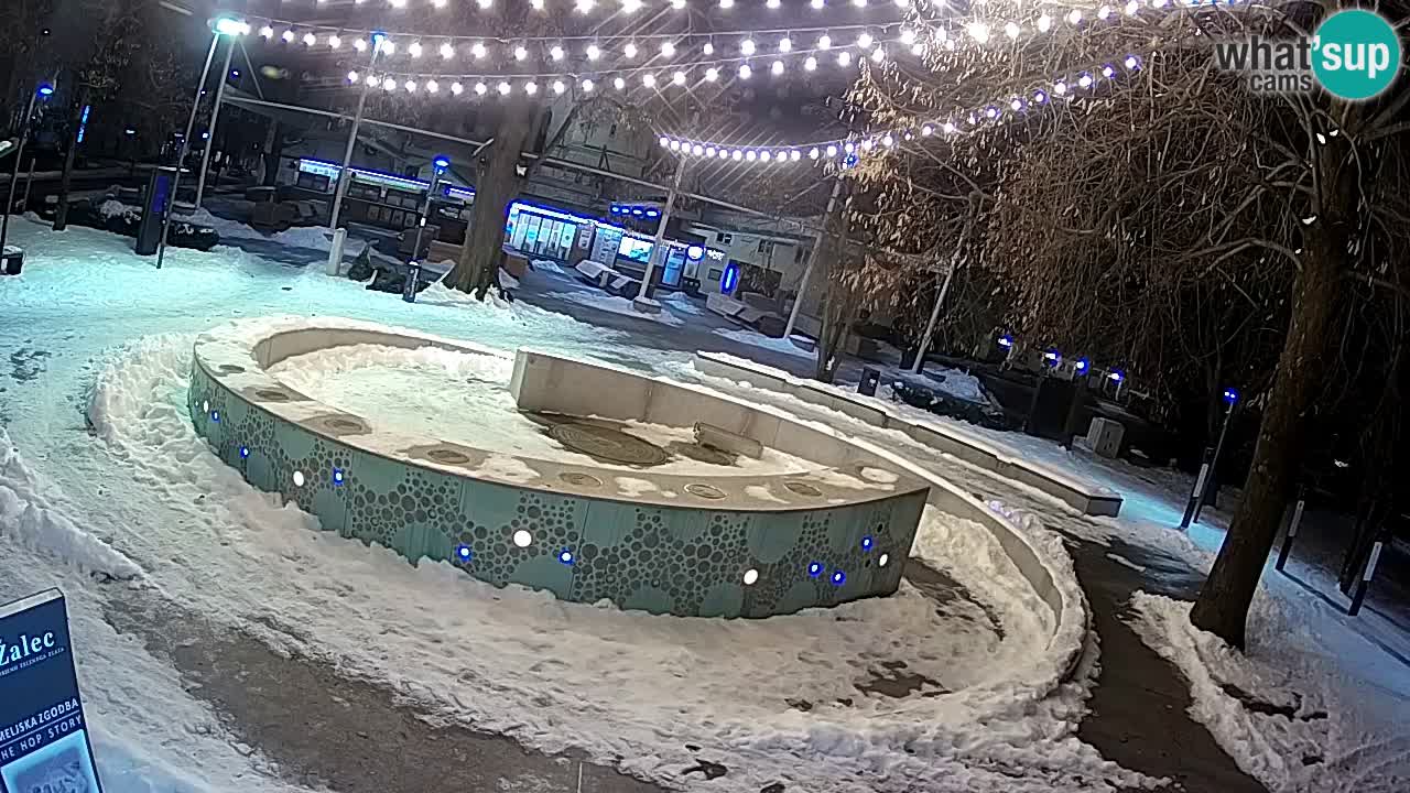 Spletna kamera Fontana Piv – Zeleno zlato Žalec