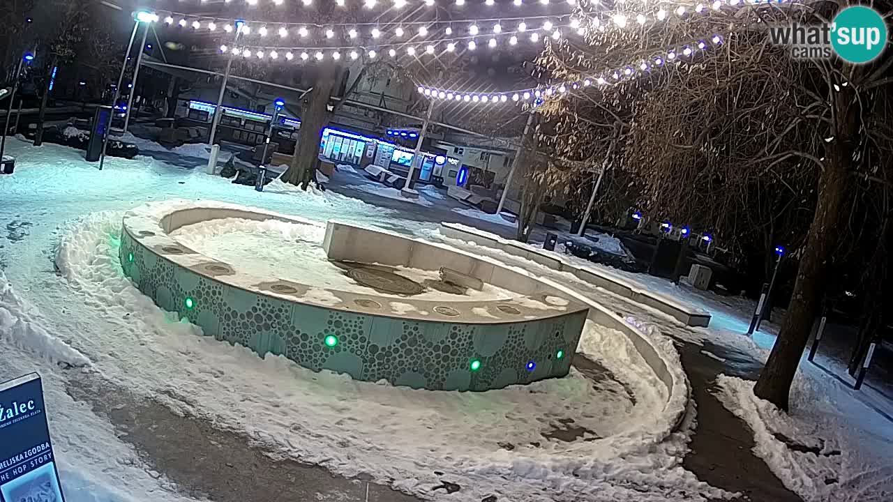 Camera en vivo Fuente de cerveza – Oro verde – Žalec