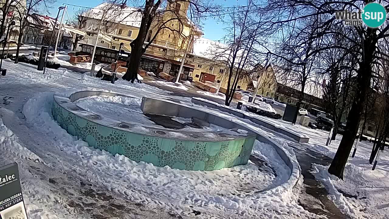 Web kamera Fontana piva – Zeleno zlato – Žalec