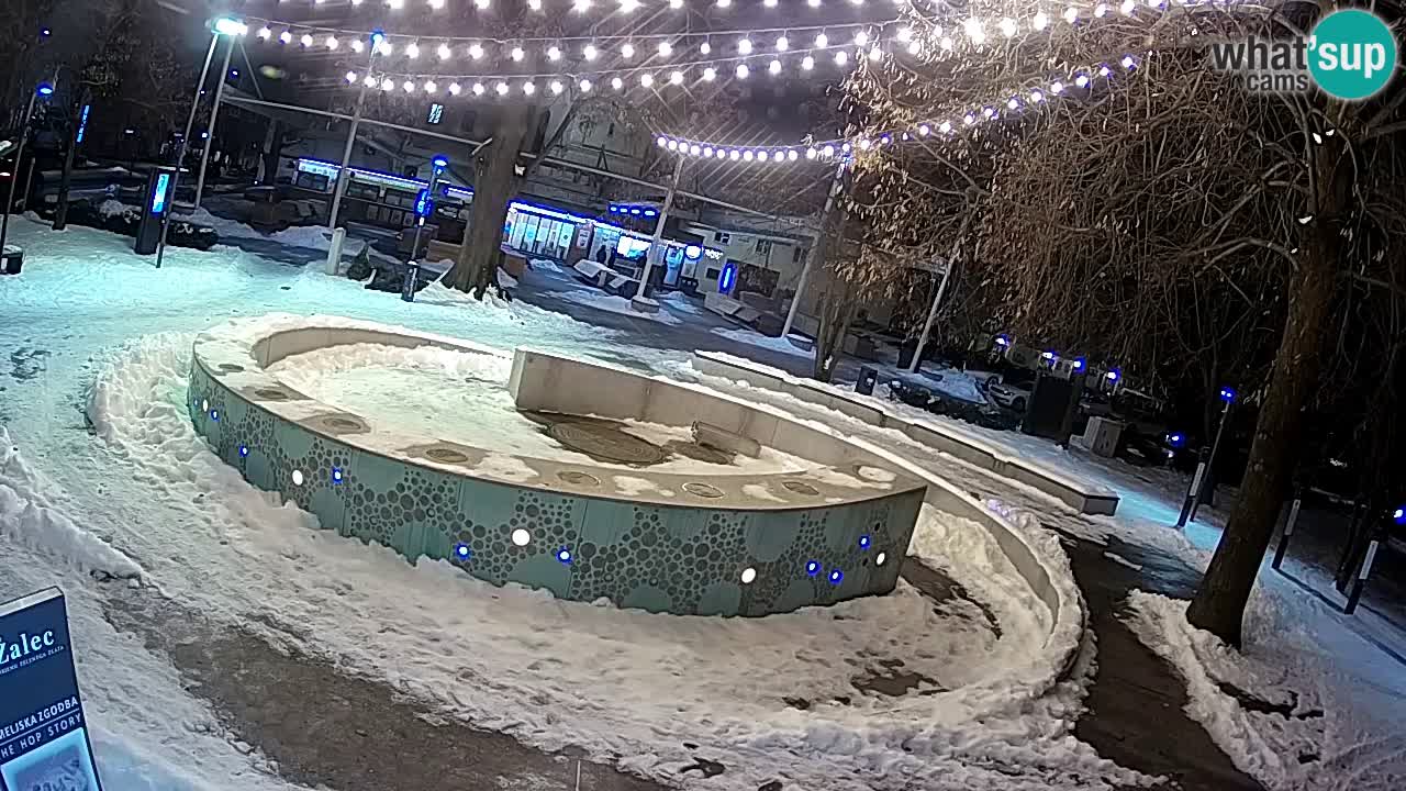 Web kamera Fontana piva – Zeleno zlato – Žalec